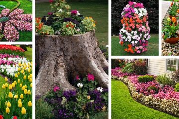 Floral Mosaic Art