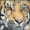 Tiger Mosaic Design by Mosaics Lab
