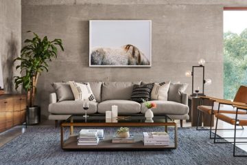 Open Concept Interiors