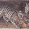 Roman_Mosaics - Roman_Mosaic_Artwork - Roman_Mosaic_Designs